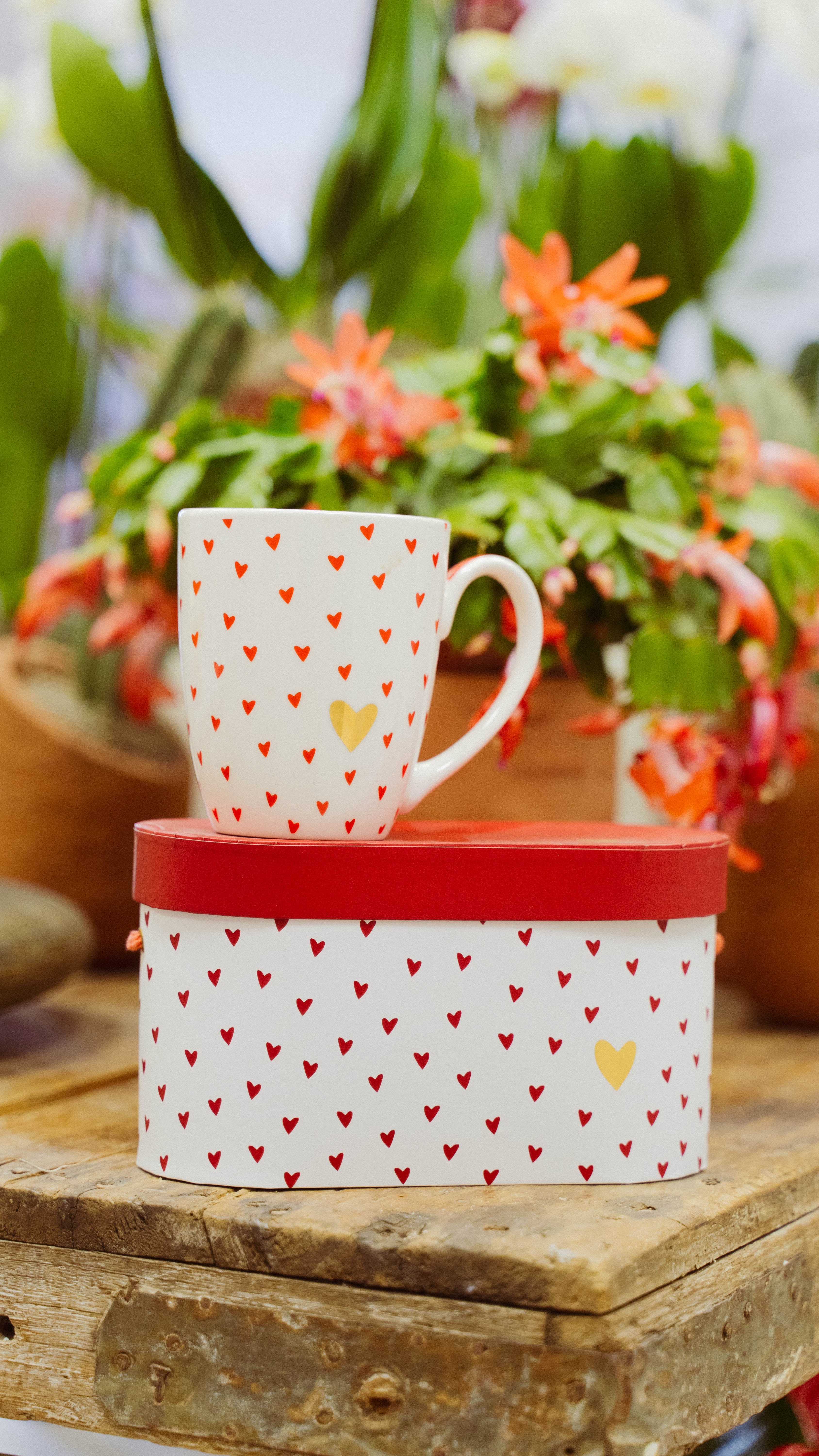 Set di due tazze con cuori